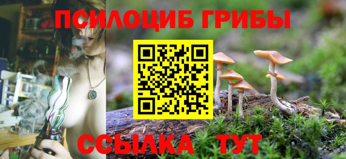 Приморско-Ахтарск  Галлюциногенные грибы ЛСД  Вход с VPN 